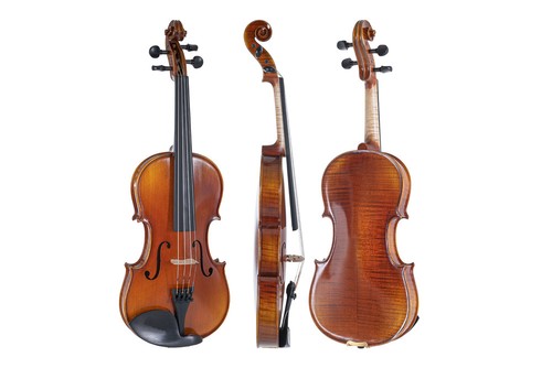 Violino maestro - violino,