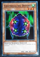 COCCINELLA DEL DESTINO Comune