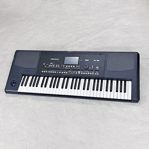 Korg pa300 tastiera - pa300,