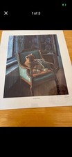 Stampa orso tempo storia di