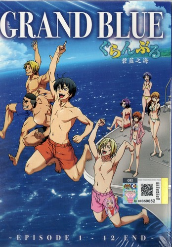 Dvd anime grand blue complete - anime,
