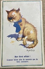 GATTO SIMPATICO FERITO E BENDATO. ILLUSTRAZIONE MOLTO BELLA da Collezione. GATTI