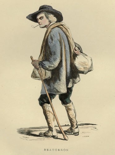 1842 homme beauceron - homme,
