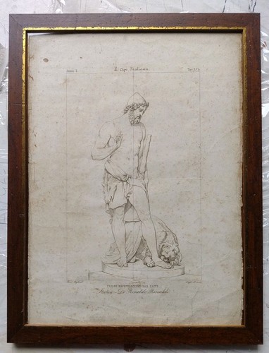 Ulisse cane argo pagliuolo - cane,