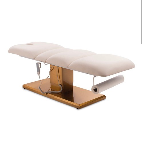Luxury electric salon bed - luxury,