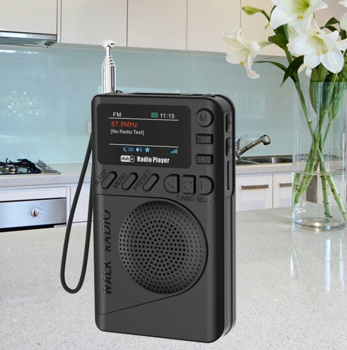 Radio digitale tascabile - digitale,