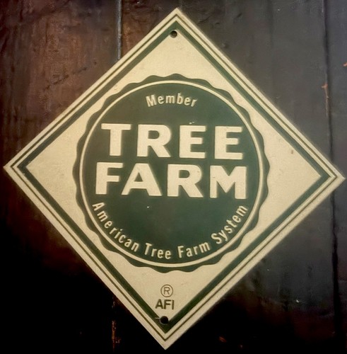 Raro vintage tree - raro,