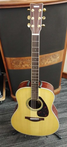 Chitarra acustica elettrica