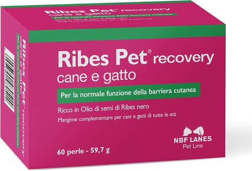 Nbf ribes pet - nbf, recovery