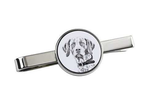 English pointer fermacravatta - pointer,