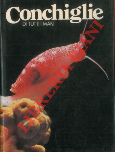 Malacologia conchiglie di - malacologia,