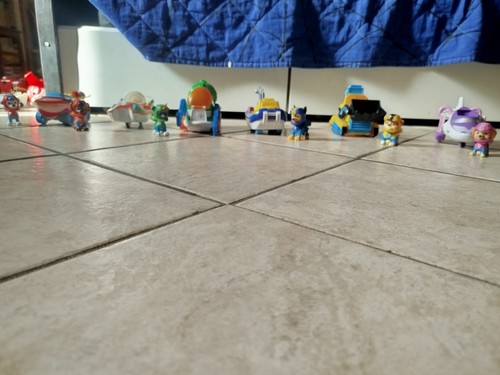 Paw patrol personaggi - paw, e