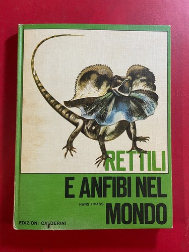 Hans hvass rettili - rettili, anfibi