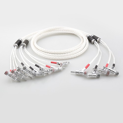 Coppia 8ag placcato - 8ag, argento