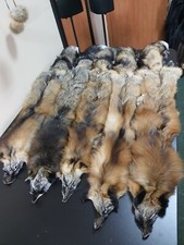 Pelliccia volpe incrociata - pelliccia, di