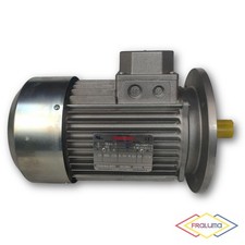 Bonani Motore Elettrico Trifase 1.5kW 4P 60Hz TR90L4 - Nuovo