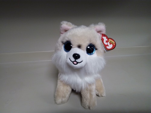 Boo honeycomb corgi - ty,