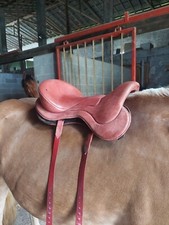 Sella Podium One con Fender Pro