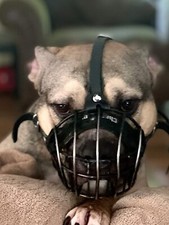 Museruola per cani metallo - museruola,