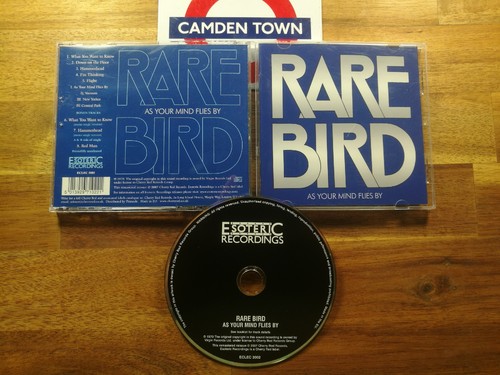 Rare bird your mind flies - bird,