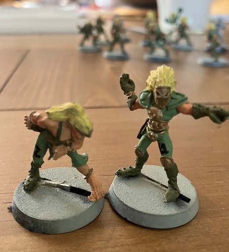 Bloodbowl squadra elfi - bloodbowl, in