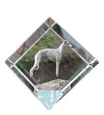 Whippet piccolo inglese - whippet,piccolo,