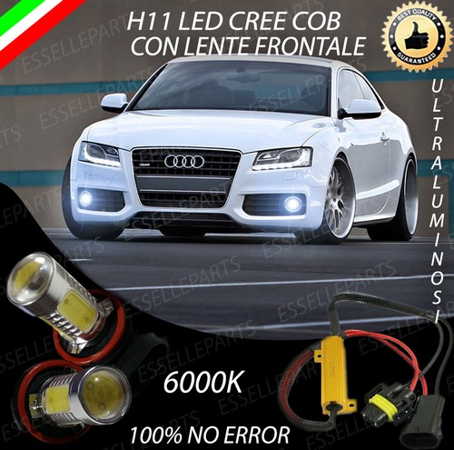 Coppia lampade fendinebbia h11 - coppia,