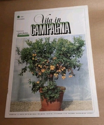 Agricoltura giardino orto - giardino,