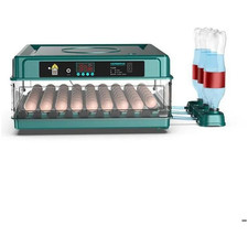 Incubatrice automatica 36