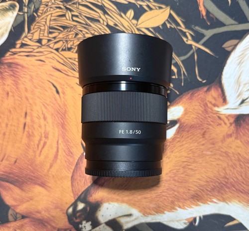 Sony 1 8 obiettivo - sony, fe