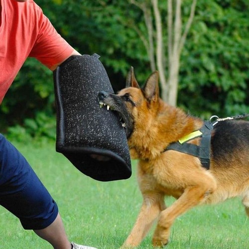 Manicotto morso per - morso, cani