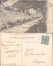 CARRARA 1910,MESTIERI MARMISTI CON BUOI AL TRASPORTO LASTRE DI MARMO-R@R@-65366