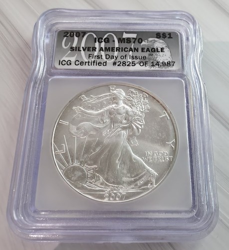 2007 silver eagle icg - 2007,