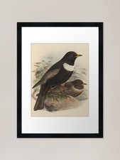 Quadro stampa su tela poster