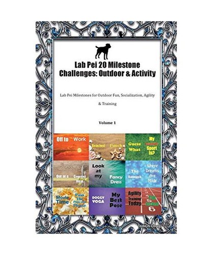 Lab pei milestone - 20,