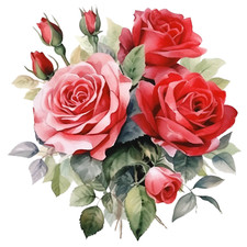 5 adesivi auto 18 x 18 cm