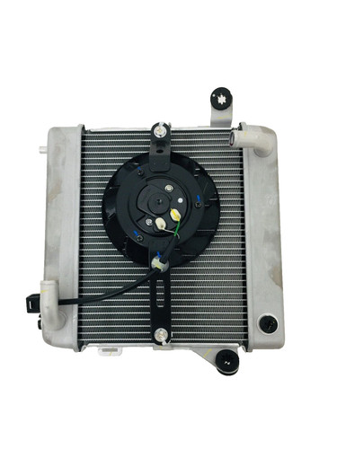 Radiatore honda forza - radiatore,