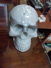 Teschio in resina epossidica