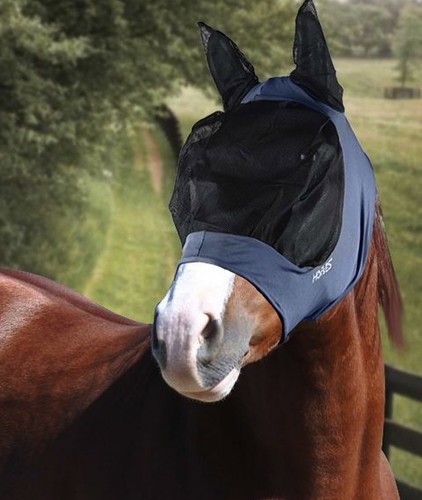 Maschera per cavalli