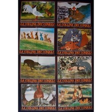 fotobuste LA COLLINA DEI CONIGLI martin rosen animazione F240