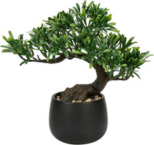 Bonsai Artificiale Di Ginepro