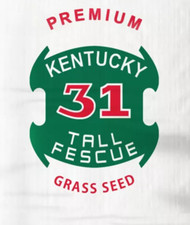 Kentucky 31 Tall Fescue Seed