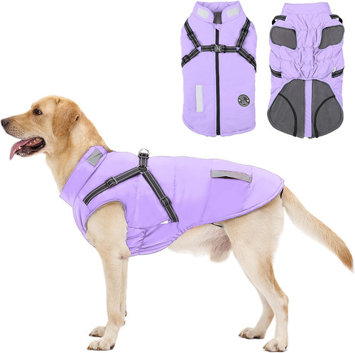 Cappotto cane invernale - cappotto,