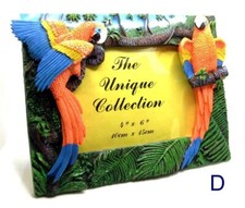 M. CORNICE FOTOGRAFICA DELFINI