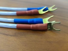 QED RUBY ANNIVERSARY