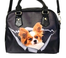Papillon cane o giocattolo