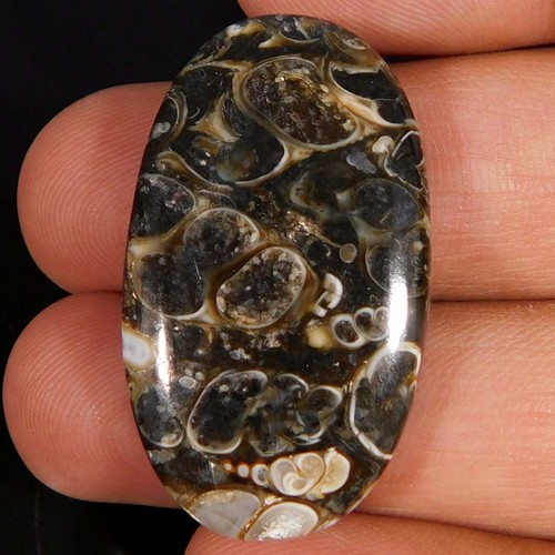 Pietra preziosa - ct.,