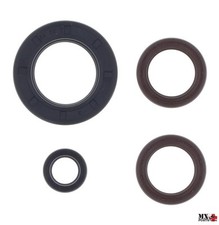 KIT PARAOLI MOTORE KTM 250 GS