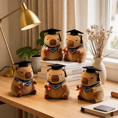 Capibara peluche laurea - capibara, di