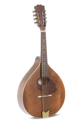 Mandolino mandola pro - mandolino, arte
